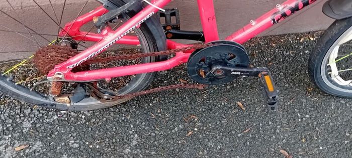 Kids Frog Bike/repair