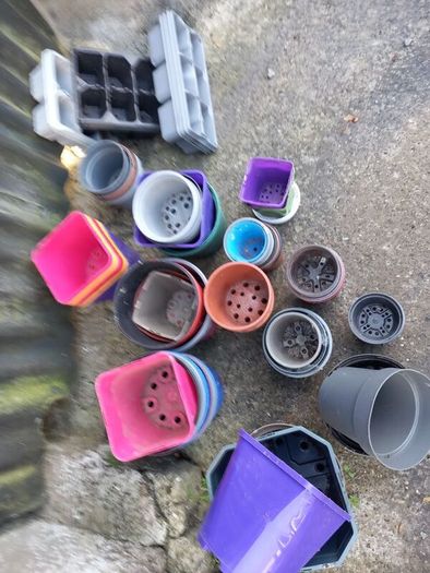 plant pots