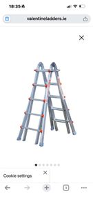 5 Rung multi ladder