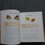 The Crystal Bible 2, Judy Hall, Paperback book, Non fiction Image 4