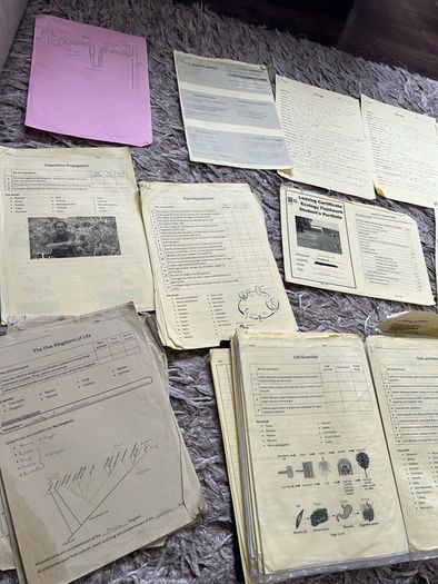 LC Biology HL Notes