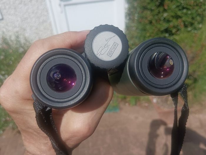 Zeiss Victory TFL 'Simon King' 8x32 binoculars