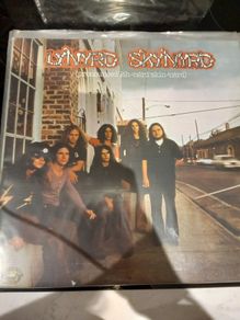 Lynyrd Skynyrd Vinyl Bundle