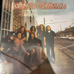 Lynyrd Skynyrd Vinyl Bundle