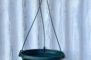 Single Hanging basket