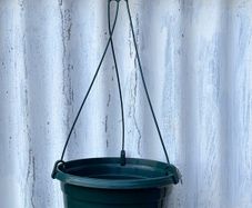 Single Hanging basket