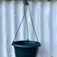 Single Hanging basket