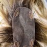 Ellen Wille Synthetic Hair Topper / Hairpiece Image 3