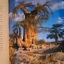 Thomas Pakenham / The Remarkable Baobab / 2004 Image 7