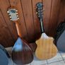 Mandolins Image 3