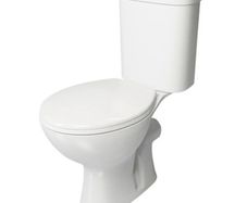 Strata eco Rimless open back toilet