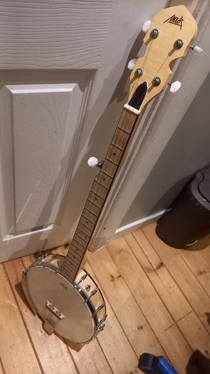 5 String Open Back Banjo