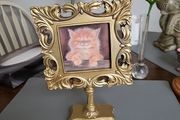 Cat picture