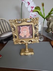 Cat picture