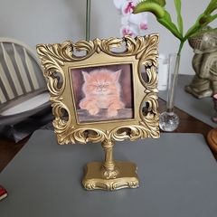 Cat picture