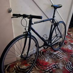 Fuji fixie