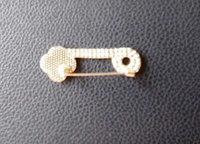 Brooch NEW