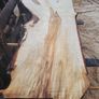 Hardwood timber Image 7