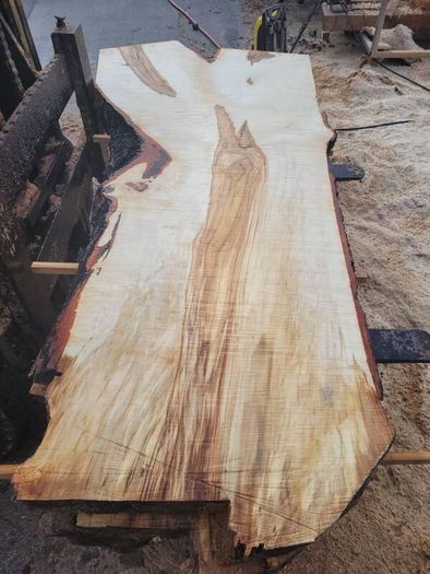 Hardwood timber