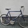 hybrid Ridgeback XL