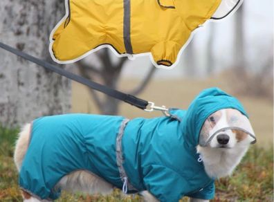 Small Dog Raincoat Waterproof Jacket with Hood & Collar Hole Transparent Brim