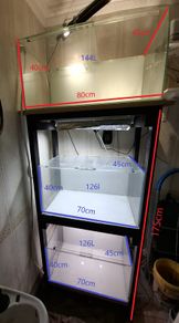 3 Fish Tanks with rack