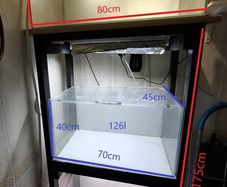 3 Fish Tanks with rack