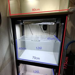 3 Fish Tanks with rack