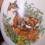 Carrigaline Wildlife Pottery Image 5