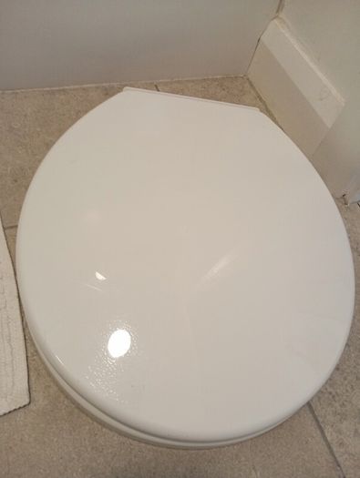 white toilet seat