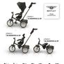 trike Image 3