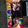Huge Clearance Job Lot  Home, Christmas Lights, VHS/DVDs & Brand New Canon Ink Image 10