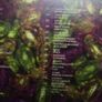 Pete Tong - Essential Selection, Spring 1999 (2 x CD) Image 2