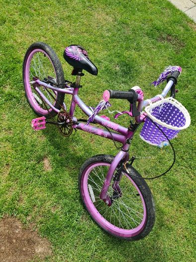 Kids Bike 20 Inch Verve - Purple