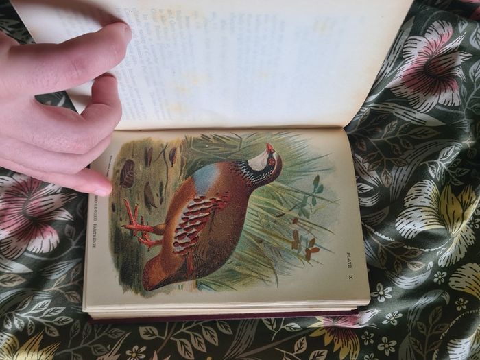 Scarce Lloyd's Natural History - 1896/7, 2 Vol. Set. Free Postage.