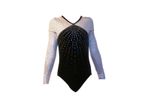 DP Gymnastics Long Sleeve Leotard