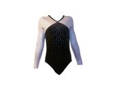 DP Gymnastics Long Sleeve Leotard