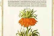 Free Postage! Mozart. Piano Concertos Nos. 6, 7 &amp; 10. CD.