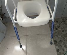 Raised Toilet Seat