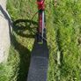 Globber scooter Image 4