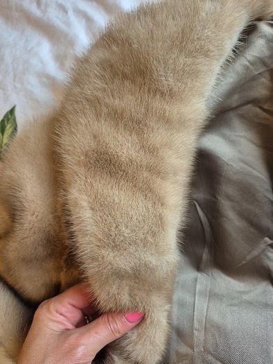 real mink jacket