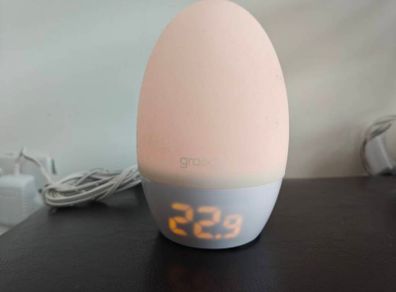 Gro Egg thermometers