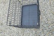 dog cage