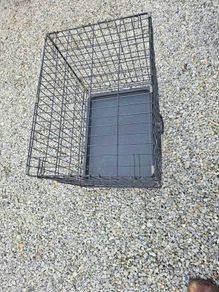 dog cage