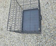 dog cage
