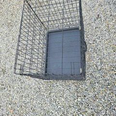 dog cage