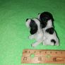 Spaniels Dimontti Italy Style Image 5