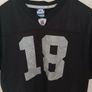 Randy Moss Oakland Raiders Jersey Image 2