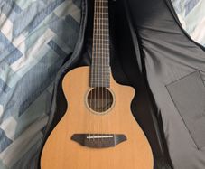 Breedlove Passport C250/CMe-T (Acoustic-Electric Guitar)
