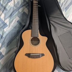 Breedlove Passport C250/CMe-T (Acoustic-Electric Guitar)